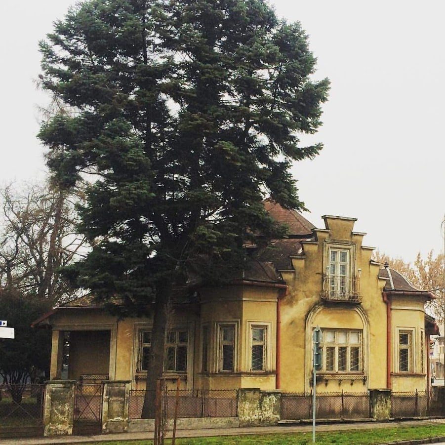 Vila pred rekonštrukciou