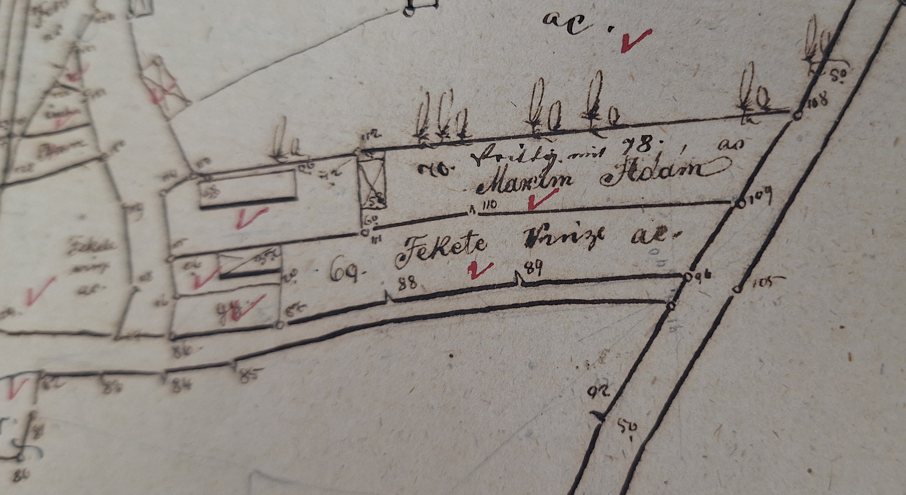 Field sketch of Adam Maxim’s plot, 1863